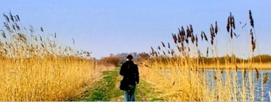 The Road To Failure Is Paved With Good Intentions: Turning Them Into Action The Road To Failure Is Paved With Good Intentions: Turning Them Into Action