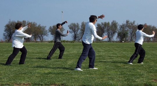 Basic Principles of Qigong: Active Exercise and Inner Health Cultivation Basic Principles of Qigong: Active Exercise and Inner Health Cultivation