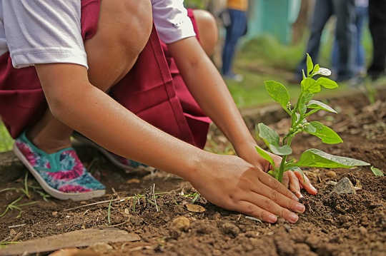 Life Cycles — From Nurturance to Letting Go Life Cycles — From Nurturance to Letting Go