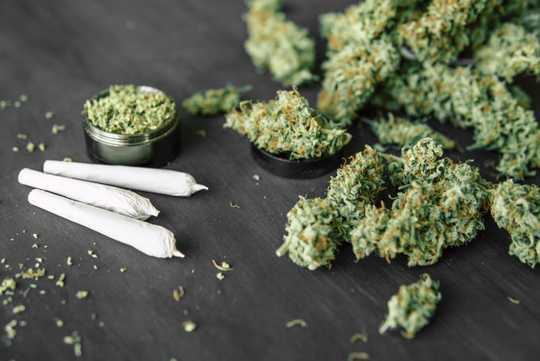Is Using Cannabis In Front Of Children Harmful Or Not? Is Using Cannabis In Front Of Children Harmful Or Not?