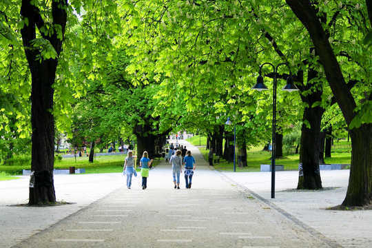 How Can Trees Really Cool Our Cities Down? How Can Trees Really Cool Our Cities Down?
