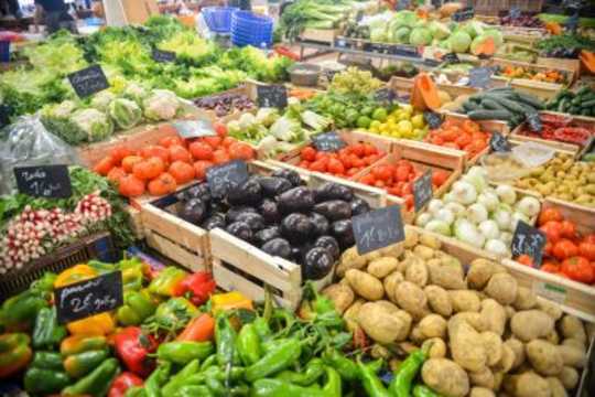 The E.U. Is Strict On G.M. Crops, But Is It Logical? The E.U. Is Strict On G.M. Crops, But Is It Logical?