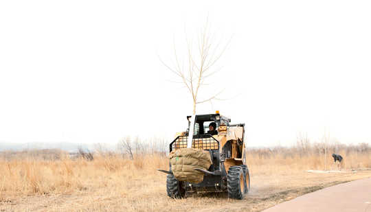 How Planting Trees Can Improve Water Quality How Planting Trees Can Improve Water Quality