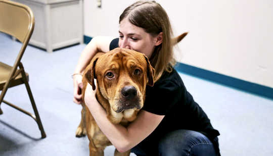 How To Avoid Mistakes When Adopting A Dog How To Avoid Mistakes When Adopting A Dog