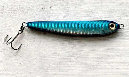 Would You Rather Have A Fish Or Know How To Fish? Would You Rather Have A Fish Or Know How To Fish?