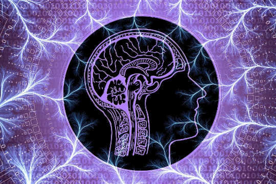 Why It Takes A Lot of Brain Real Estate To Disagree