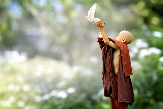 Today's Inspiration: November 6, 2022 a young Buddhist boy releasing a dove into the sky