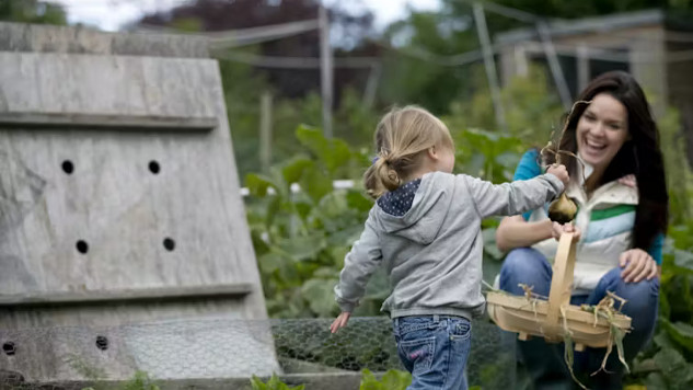 growing you own food 9 12