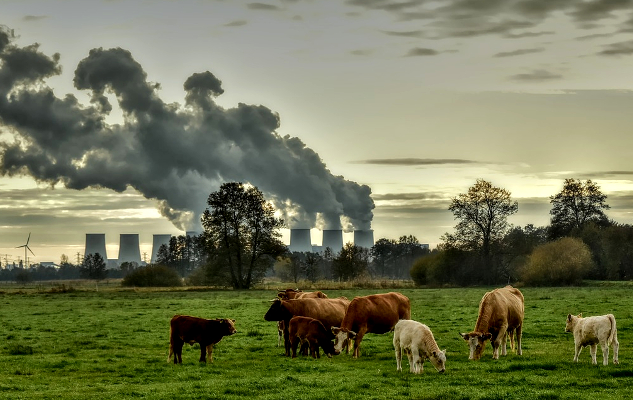 Something Needs to Be Done: Choosing Economy or Ecology?