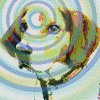 Dog Skills: Is Man's Best Friend Psychic?