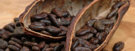 Eat More Chocolate! It's Good For You! by Stasia Bliss Eat More Chocolate! It's Good For You! by Stasia Bliss