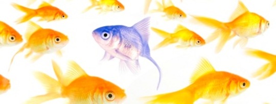 ADHD and The Edison Gene: A Problem or a Gift? ADHD and The Edison Gene: A Problem or a Gift?
