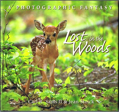 Lost in the Woods