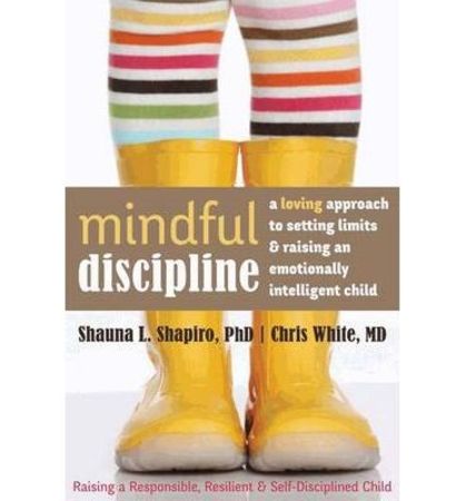 Mindful discipline