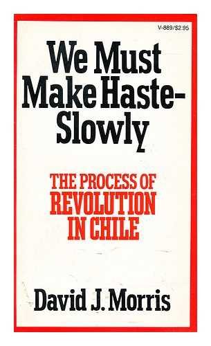 We must make haste--slowly