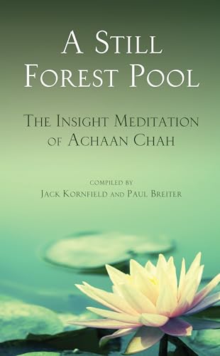 A still forest pool
