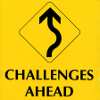 The Gift of Challenge by Joyce Vissell
