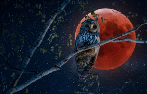 Astrological Overview and Horoscope: March 9 - 15, 2026